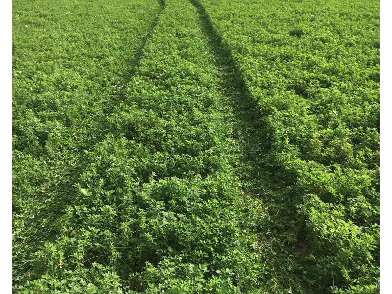 142 Florance Road, Haines SA 5223