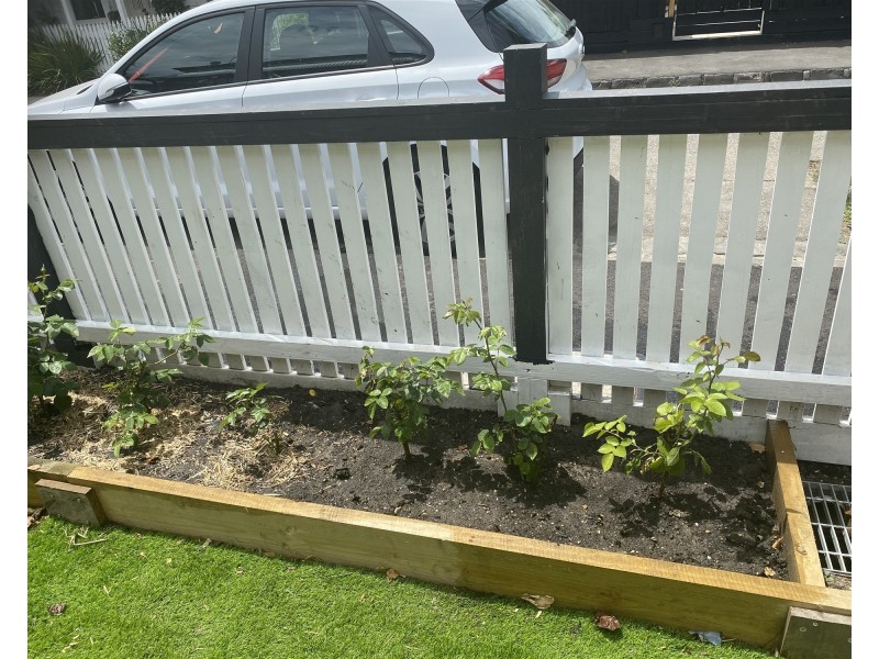 4 Queen  Street, Richmond VIC 3121