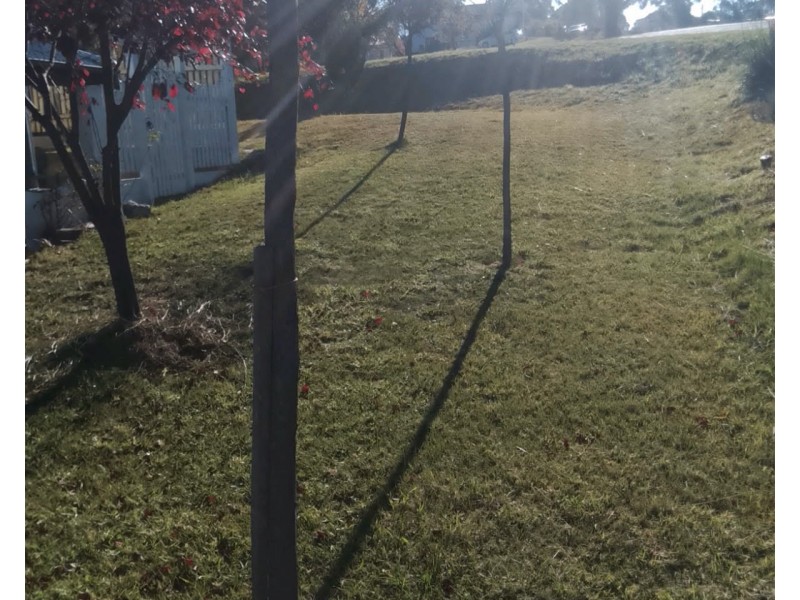 Bombala NSW 2632