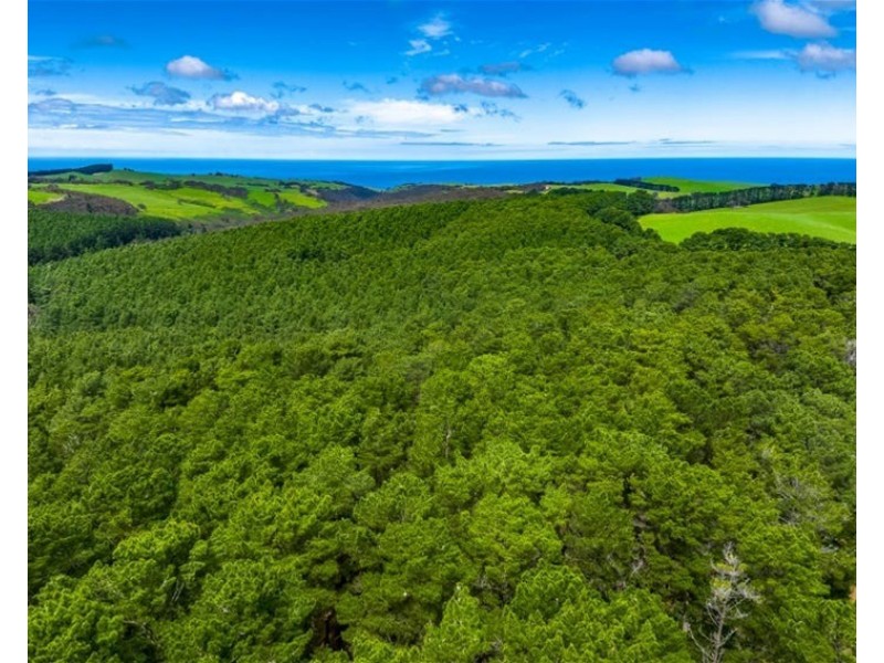 28 Taylor Road, Tunkalilla SA 5203