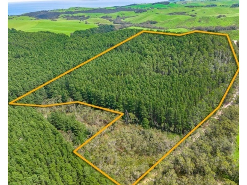 28 Taylor Road, Tunkalilla SA 5203