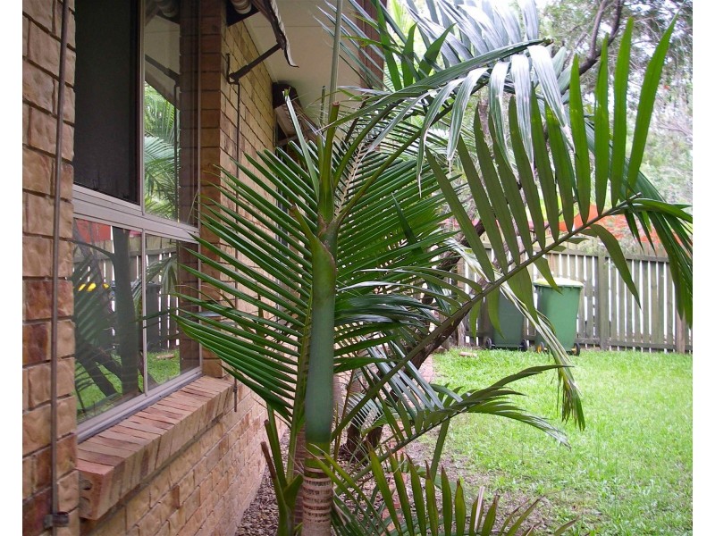 1/16 Hentdale Court, Labrador QLD 4215