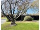 2 Alexander Avenue, Mornington VIC 3931