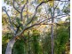 21a Eastern Road, Tumbi Umbi NSW 2261