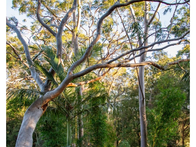 21a Eastern Road, Tumbi Umbi NSW 2261