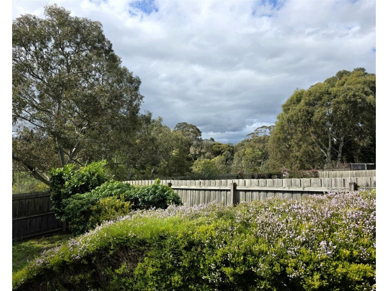 34 Axminster Drive, Craigieburn VIC 3064