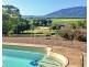 35 Stuart Drive, Feluga QLD 4854