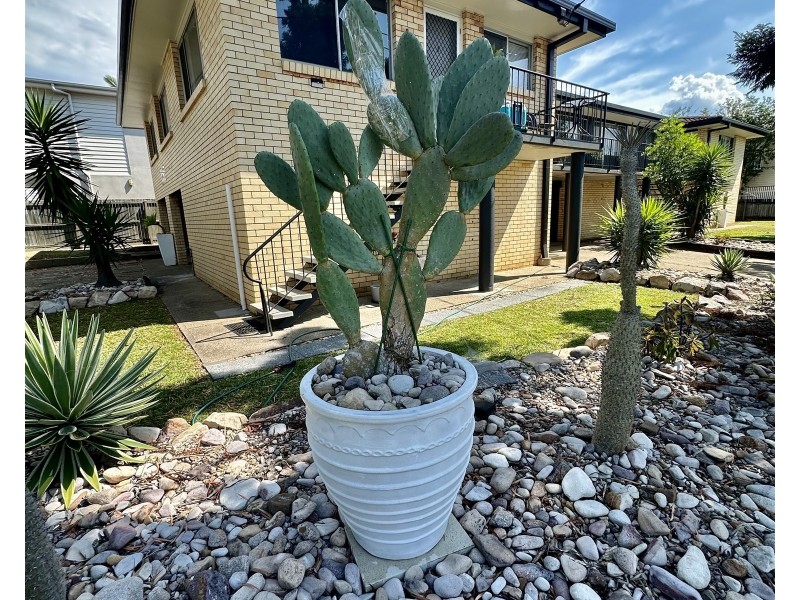 158 Riding Road, Balmoral QLD 4171