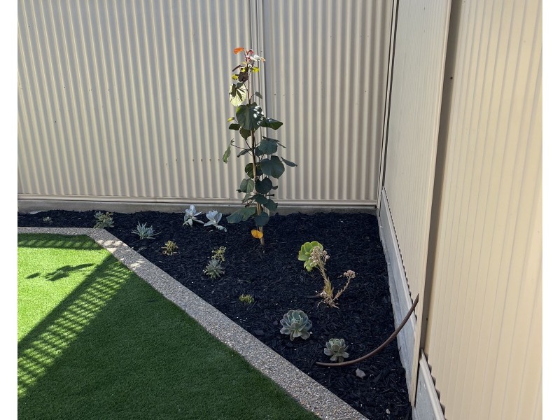 8B Alexander Avenue, Ashford SA 5035