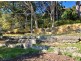 29 Bulkara Street, Adamstown Heights NSW 2289