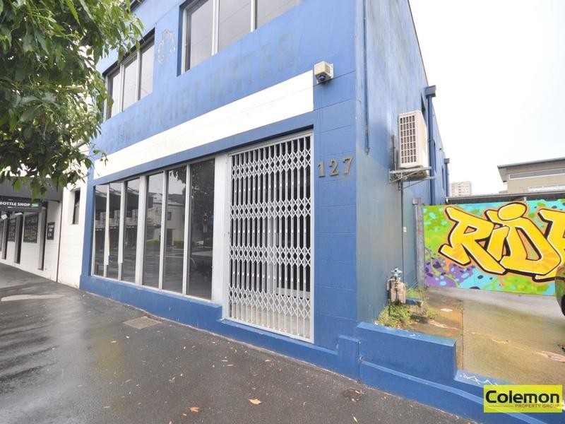 127 Botany Road, Waterloo NSW 2017