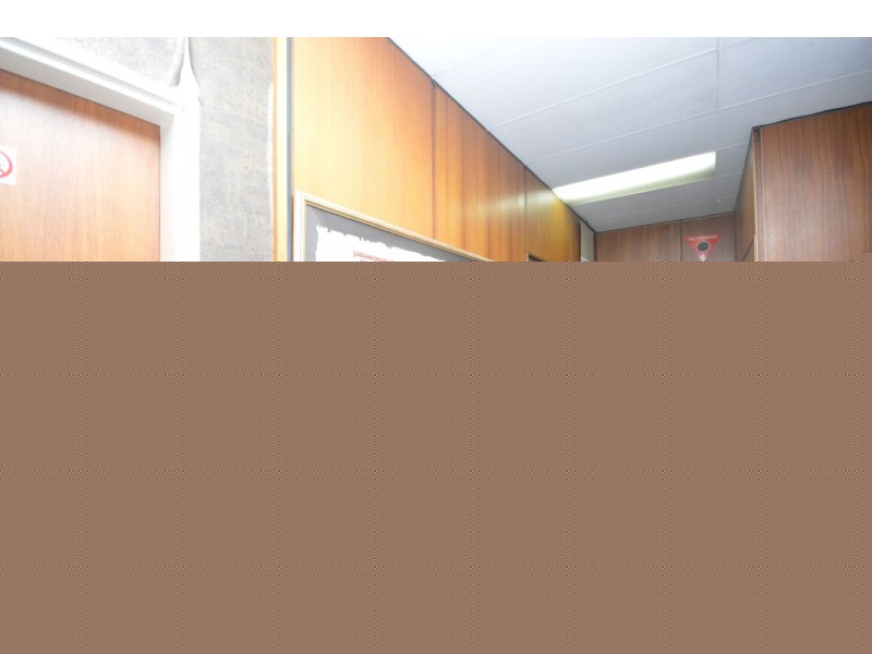 17 Bermill Street, Rockdale NSW 2216