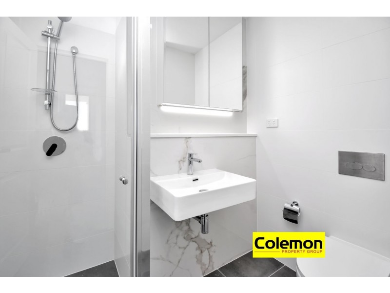 301/248-252 Liverpool Road, Enfield NSW 2136