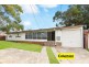 17A Alfred St, Campsie NSW 2194