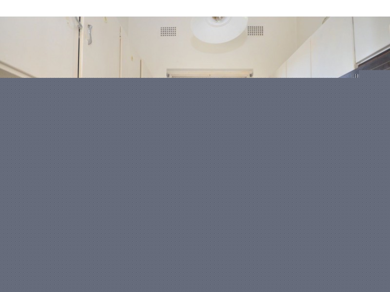 100 Minter Street, Canterbury NSW 2193