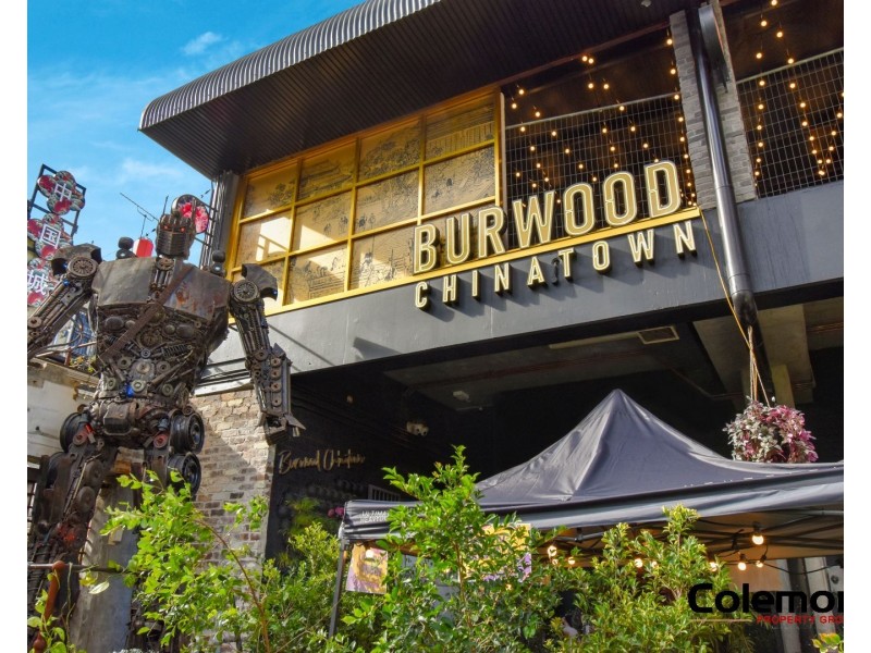 Burwood NSW 2134