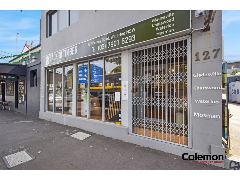 127 Botany Rd, Waterloo NSW 2017