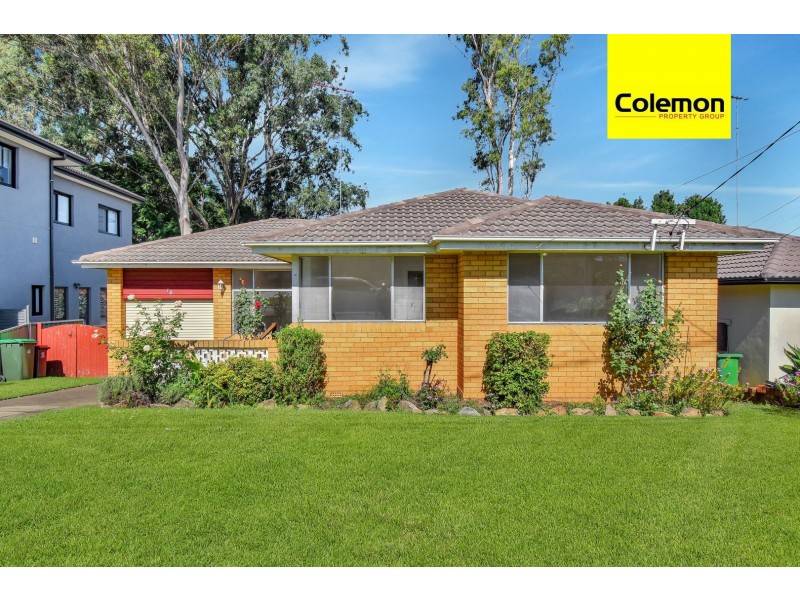 18 Marden St, Georges Hall NSW 2198