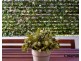 102/243 Canterbury Rd, Canterbury NSW 2193