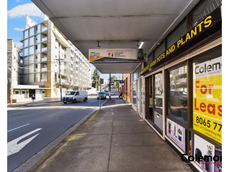 330  Illawarra Road, Marrickville NSW 2204