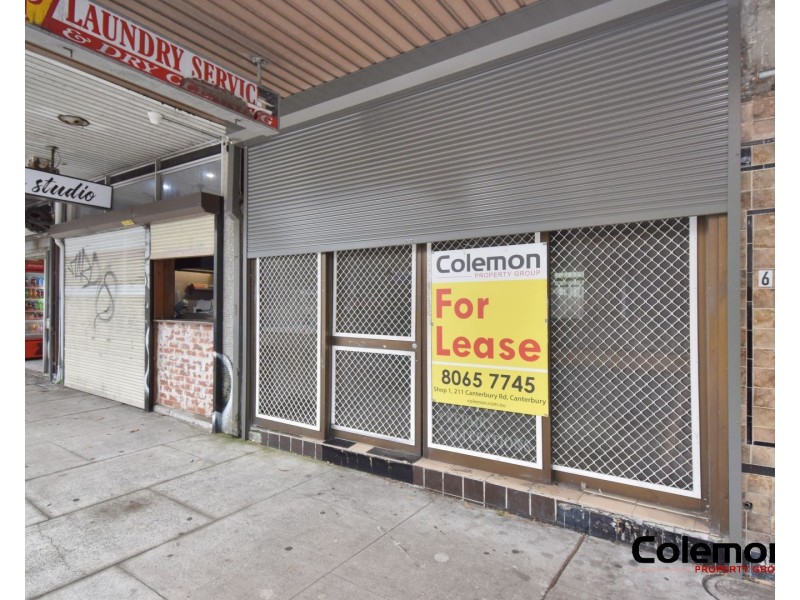 695 Elizabeth St, Waterloo NSW 2017