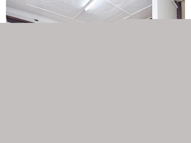 48 The Strand, Croydon NSW 2132