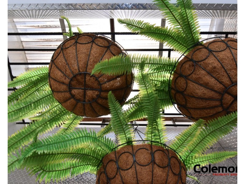 618 Bourke St, Surry Hills NSW 2010