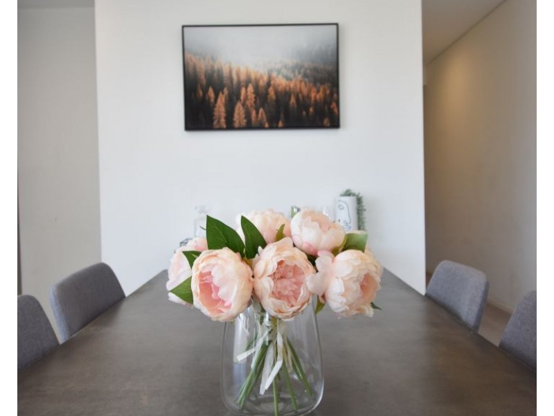 220/2D Charles St, Canterbury NSW 2193