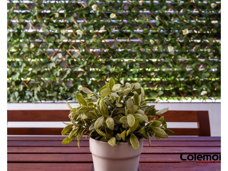 102/243 Canterbury Rd, Canterbury NSW 2193