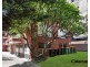 3/8 Homebush Road, Strathfield NSW 2135
