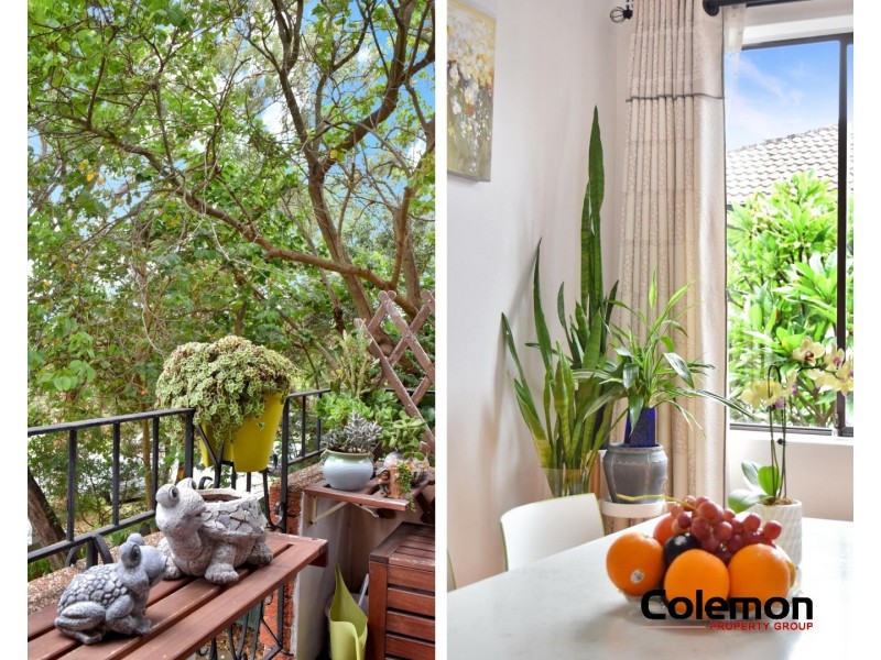 1/5 Rome St, Canterbury NSW 2193