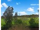 10 Broughton St, Canterbury NSW 2193