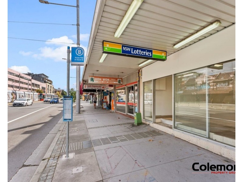 136 Anzac Pde, Kensington NSW 2033