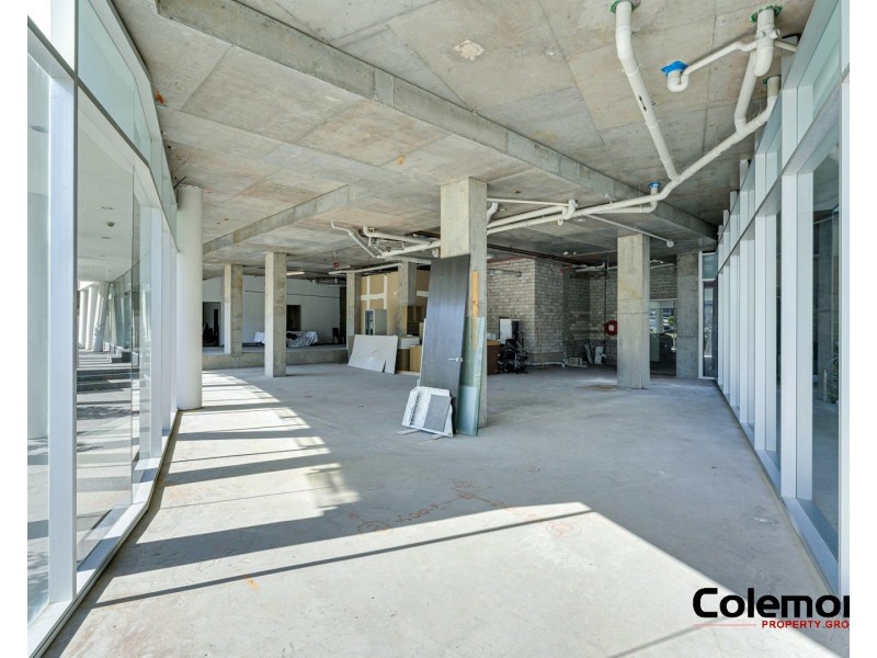 39 Cooper St, Strathfield NSW 2135