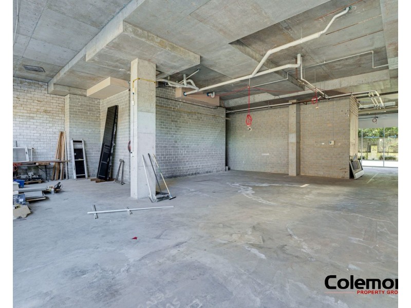 39 Cooper St, Strathfield NSW 2135