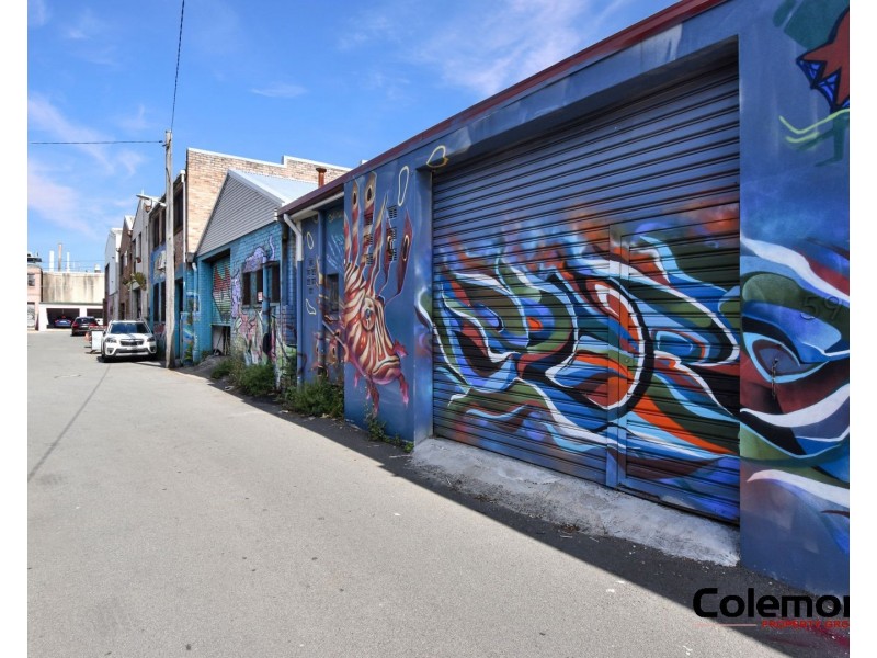 59 Sydenham Road, Marrickville NSW 2204