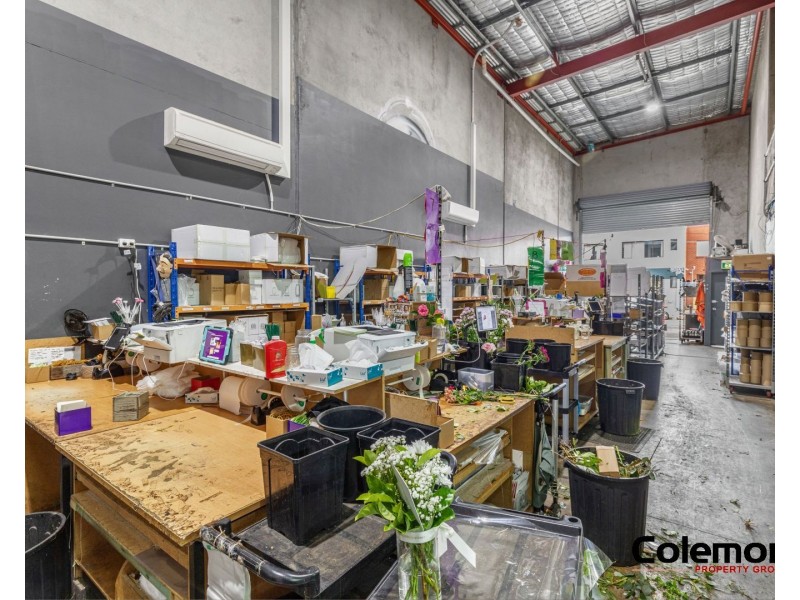 1/1A Brompton St, Marrickville NSW 2204