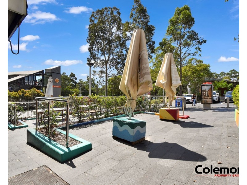 60 Constitution Road, Meadowbank NSW 2114