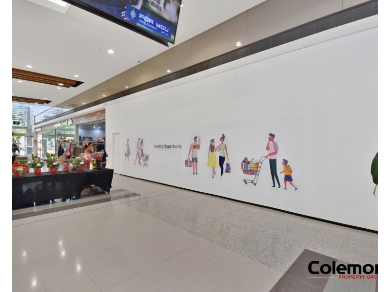 1 Brooks St, Macquarie Fields NSW 2564