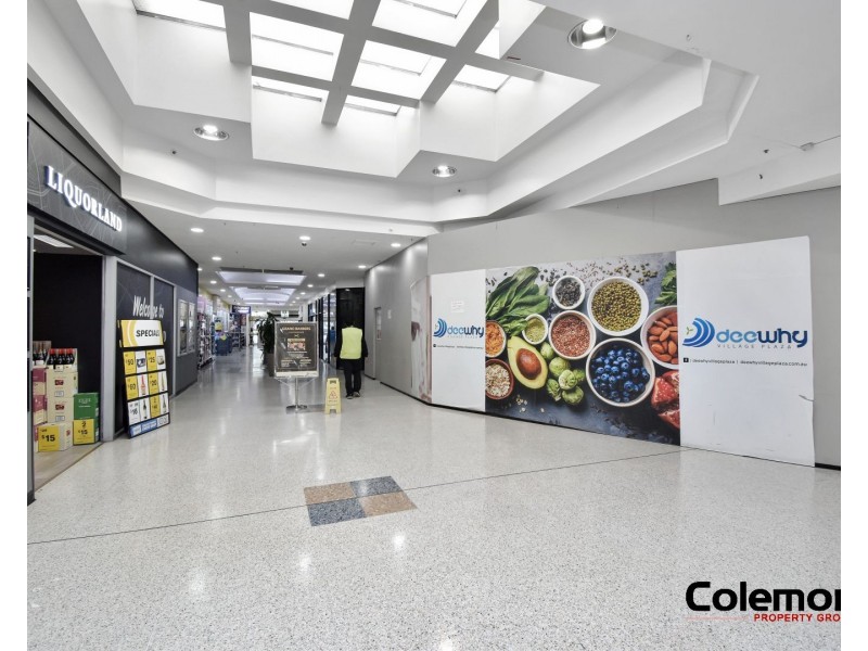 26 Howard Ave, Dee Why NSW 2099