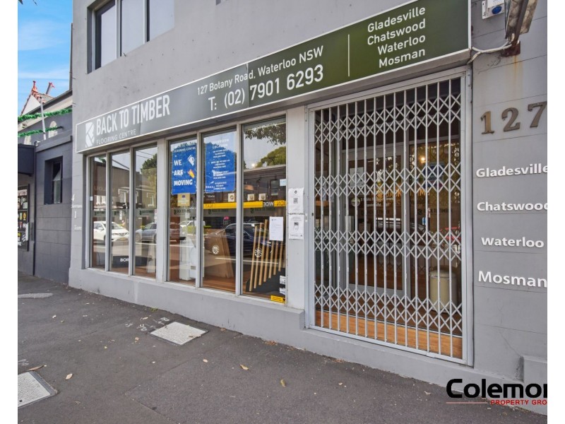 127 Botany Rd, Waterloo NSW 2017