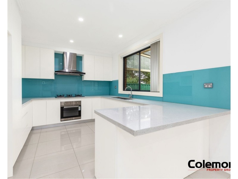 3 Palmer Street, Campsie NSW 2194