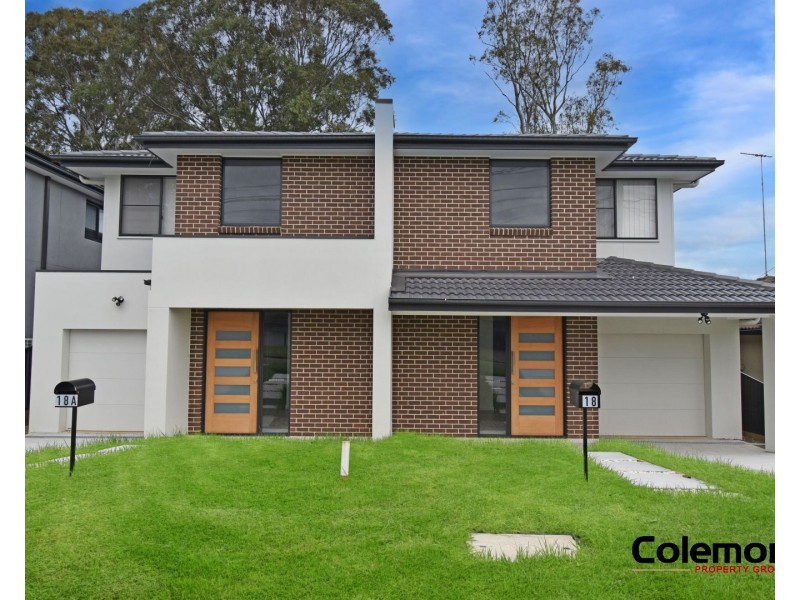18A Marden St, Georges Hall NSW 2198