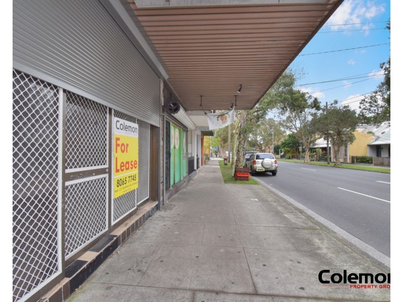 695 Elizabeth St, Waterloo NSW 2017