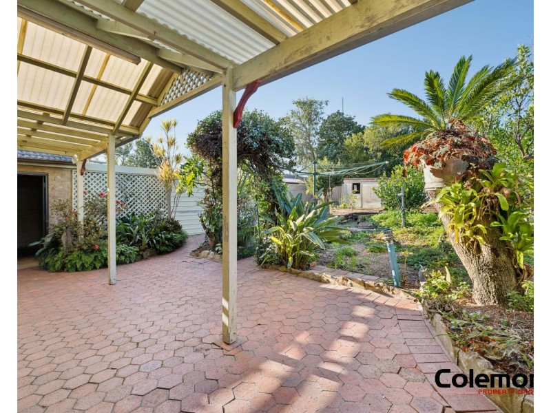 20 Robinson Street, Strathfield South NSW 2136