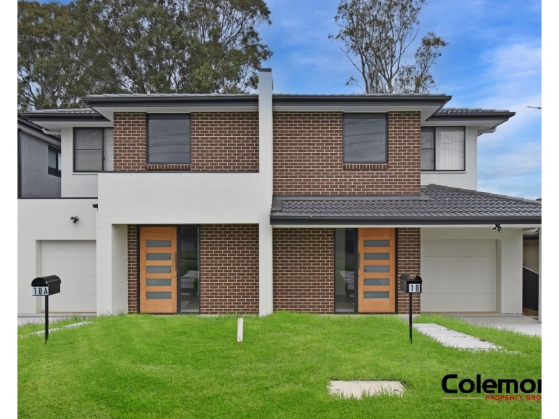 18A Marden St, Georges Hall NSW 2198