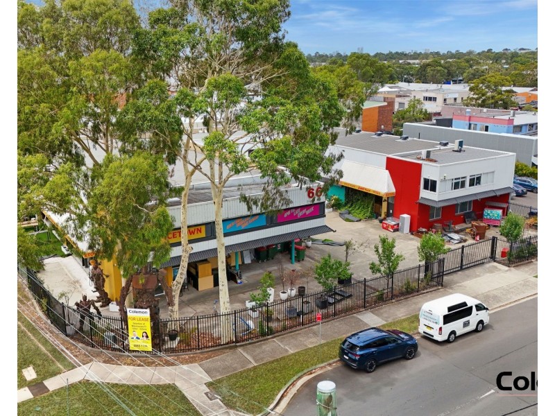 66  Clapham Road, Sefton NSW 2162