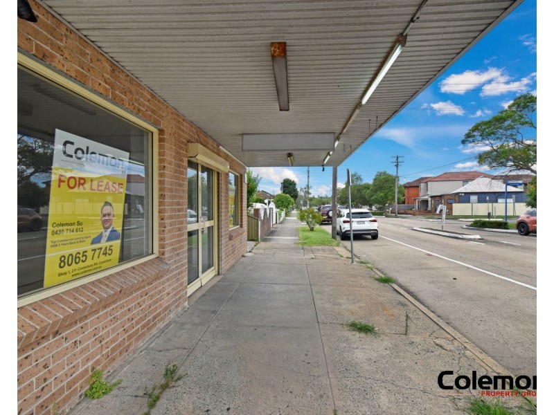 182 Brighton Ave, Campsie NSW 2194