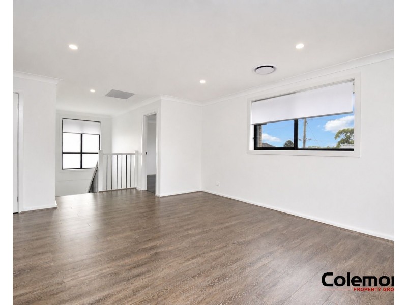 39 Fairview Road, Canley Vale NSW 2166