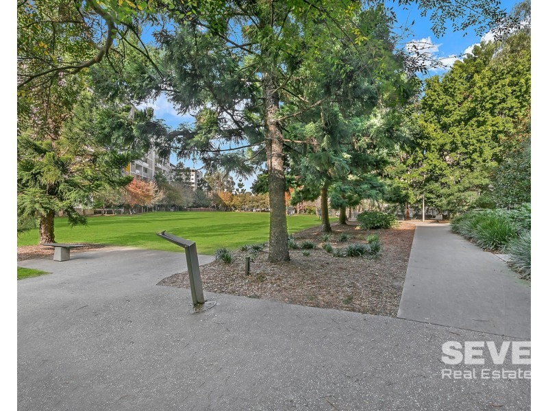 203/36 Cowper Street, Parramatta NSW 2150